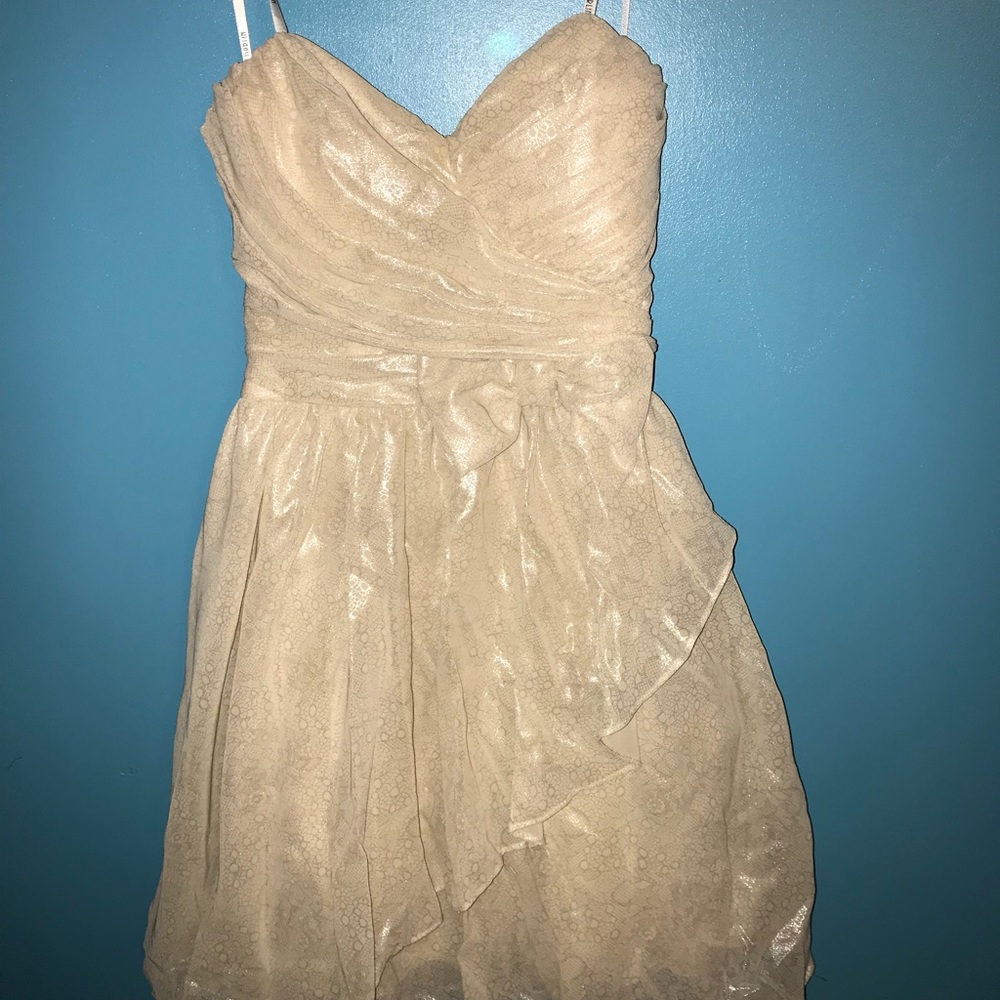 Home Coming or semi formal Dress